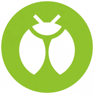 Inseto