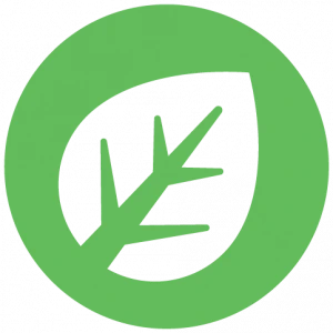 Planta